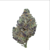 Pink Death LSO – Indica